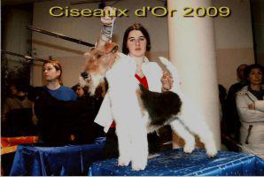 Ciseaux d'Or 2009