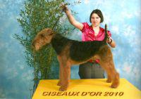 Ciseaux d'Or 2010