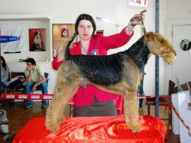 Concours de Toilettage à Girona en Espagne 2009